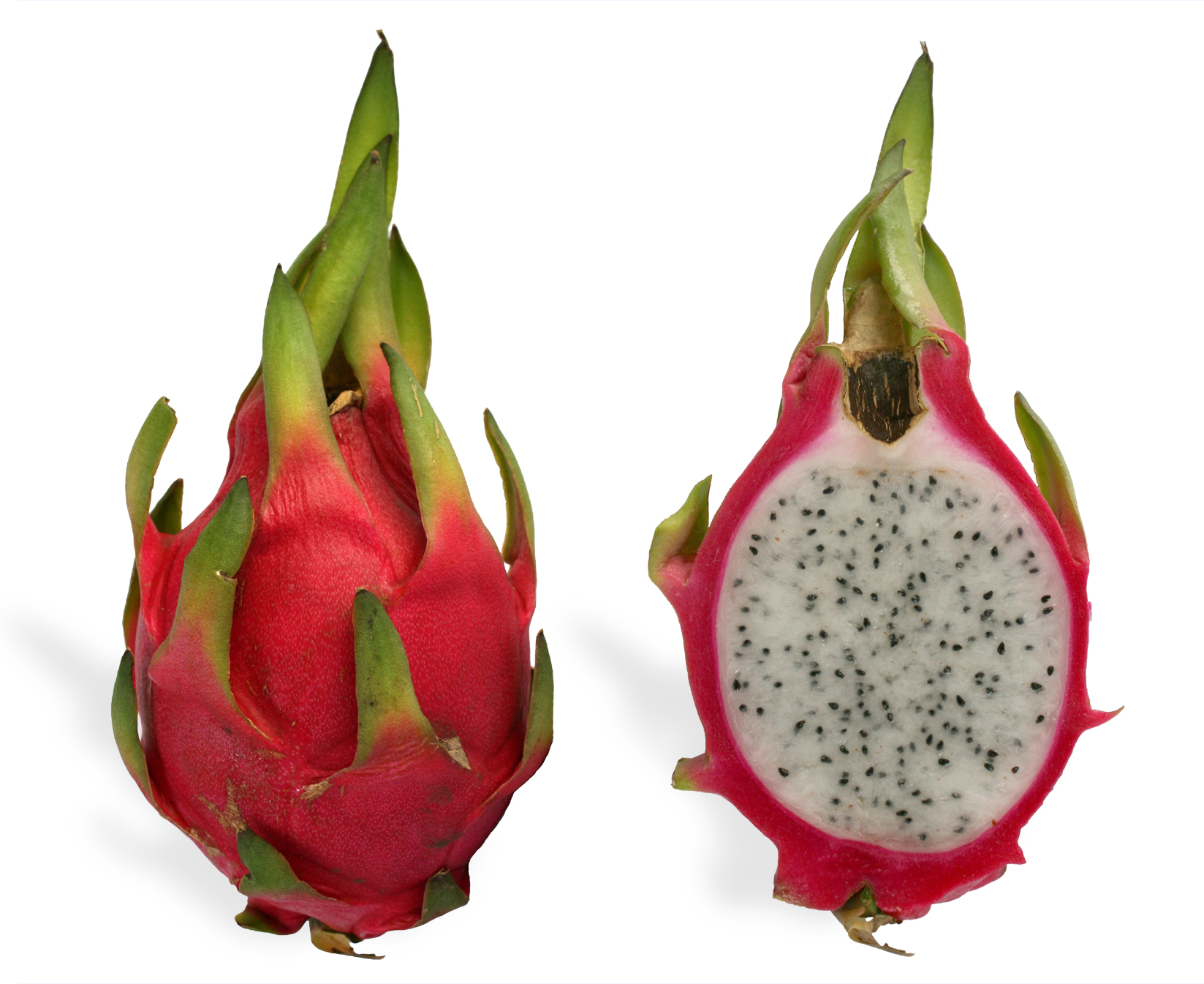 Dragon Fruit_Pitaya.jpg